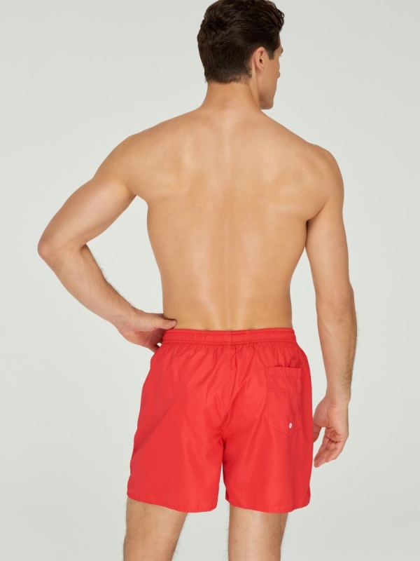 MS19-01_04_Full Body