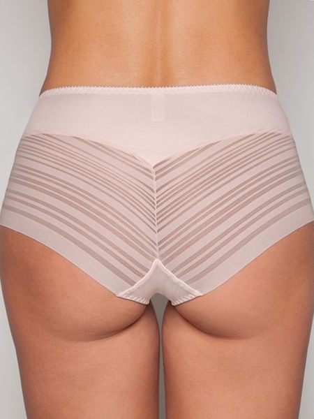 480 Трусы Siluet Albina (Серебрист_пион) слип-02