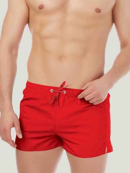 MS19-01_03_Catalogue